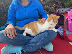 Pendleton Plaintiff and her cat